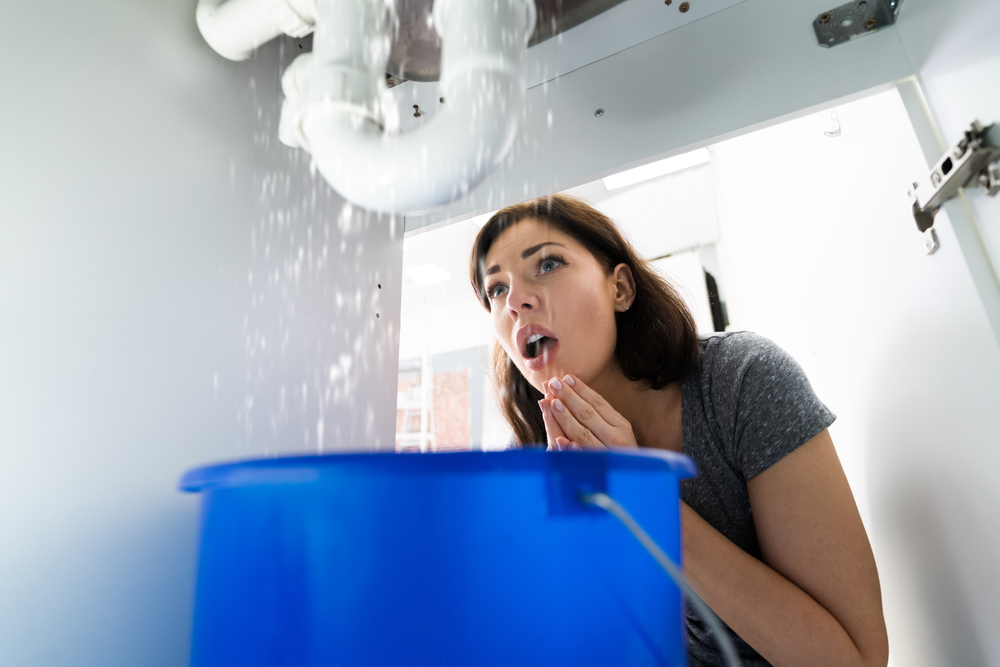 Woman,With,Emergency,Plumbing,Sink,Leak,Problem
